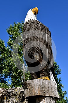 A chainsaw carving of a beautiful bald eagle