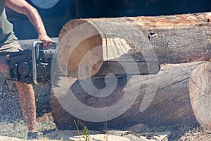 Chainsaw Cutting Through Log