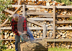 Chainsaw cutting trunk