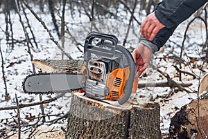 Chainsaw in forest on stump