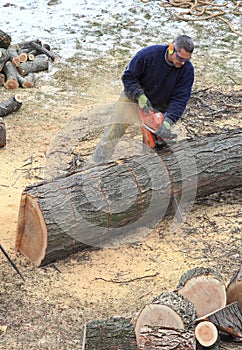 Chainsaw Ground Work