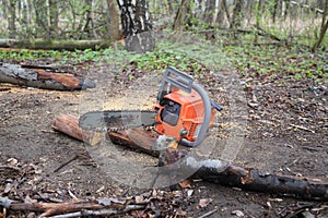 Chainsaw lying on ground near dry sawn photo