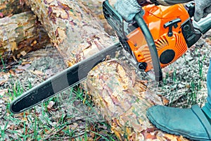 Chainsaw man sawing logs