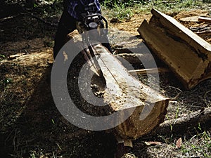 Chainsaw in movement cutting wood.