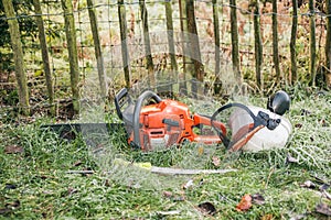 Chainsaw and pruning handsaw photo