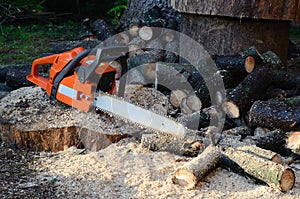 Chainsaw and sawed wood