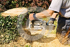 Chainsaw on stump
