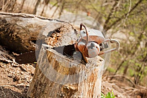 Chainsaw in Tree Stump
