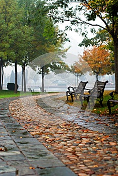 The chair and bypath