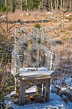 Chair carved from a tree stump in a forest