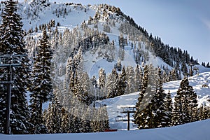 Chair lift at Stevens Pass blends in with the trees on a
