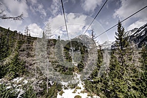Chair-lift between trees
