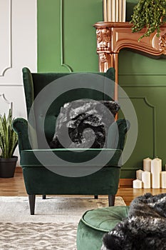 Chair with pillow in contemporary living room interior with grey and green wall