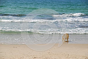 Chair & sea