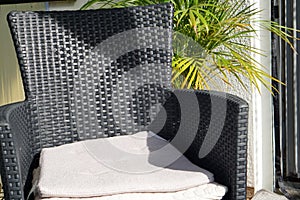 A chair with seat cushions outdoor in the garden or balcony in front of a green plant