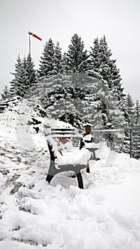 Chair and The Snow