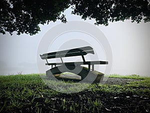 Chair under the tree branch in the mist.