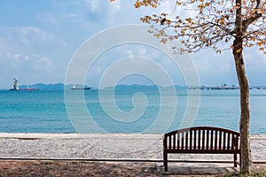 Chair under the tree at seaside.