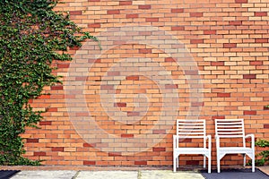 Chair wood with wall blick and tree plant on background.