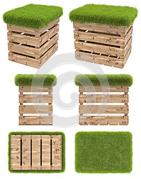 The chair of the wooden box or pallet with a seat of grass. Garden furniture. Top view, side view, front view, bottom view. Isolat