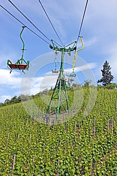 Chairlift above vineyard