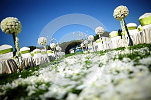 Outdoor wedding Scene