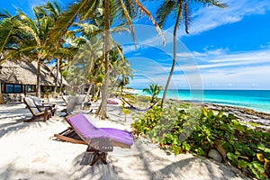 Chairs and Hammock under the palm trees on paradise beach at tropical Resort. Riviera Maya - Caribbean coast at Tulum in Quintana