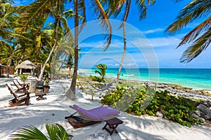 Chairs and Hammock under the palm trees on paradise beach at tropical Resort. Riviera Maya - Caribbean coast at Tulum in Quintana