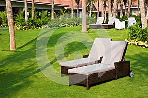 Chairs on a Lawn at a Tropical Resort