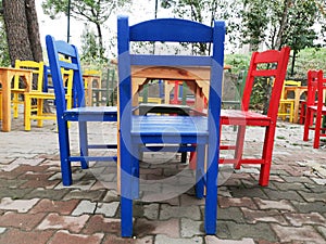 Chairs lined up in the garden.