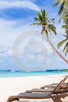 Chairs and palm tree on sand beach, tropical vacations