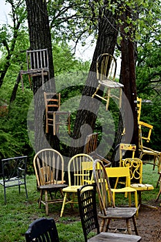 Chairs stacked in field and around a tree
