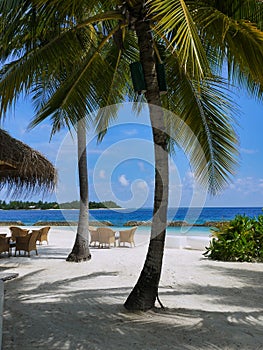 Chairs and tables on the beach - Kuramathi Maldives