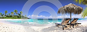 Chairs In Tropical Beach With Palm Trees