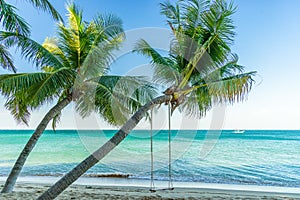 Chairs and umbrella In palm beach - Tropical holiday banner. White sand and coco palms travel tourism wide panorama background