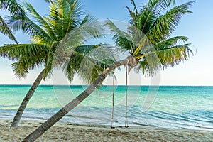 Chairs and umbrella In palm beach - Tropical holiday banner. White sand and coco palms travel tourism wide panorama background