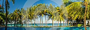 Chairs and umbrella In palm beach - Tropical holiday banner. White sand and coco palms travel tourism wide panorama background