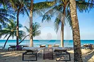 Chairs and umbrella In palm beach - Tropical holiday banner. White sand and coco palms travel tourism wide panorama background