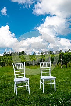 Chairs for the wedding in the vineyard