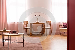 Chairs at wooden table with stylish vase with flowers in bright dining room interior with coffee tables on pink carpet