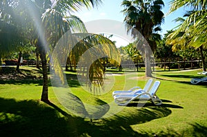 Chaise lounges in the great garden