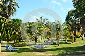 Chaise lounges in the great garden