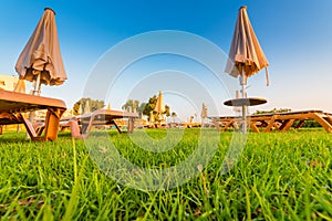 Chaise lounges on a green lawn. Cyprus