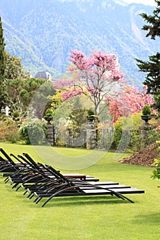 Chaise lounges on a lawn