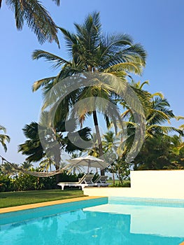 Chaise lounges near pool