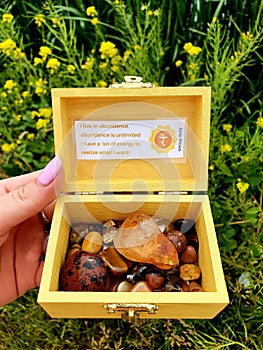 Chakra Box for Chakra Stones 7 Colours on a Stone in Nature Plants Spiritual SOLAR PLEXUS YELLOW CHAKRA