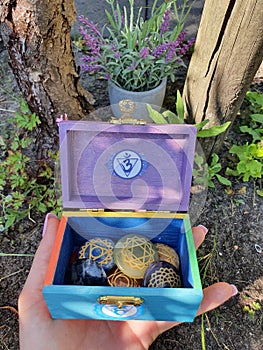 Chakra Box for Chakra Stones 7 Colours in Nature Plants Spiritual