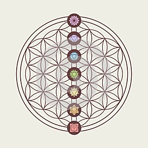 Chakra icons on sacred geometry design