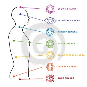 Chakra system of human body. Energy centers