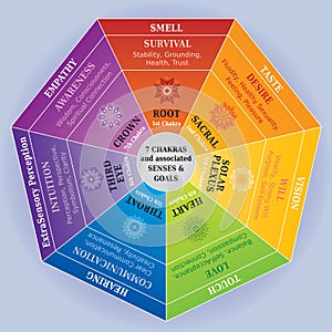 7 Chakras Color Chart with Mandalas, Senses and Goals photo